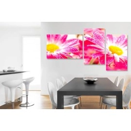 Tablouri canvas Gerbera roz-galben 7860