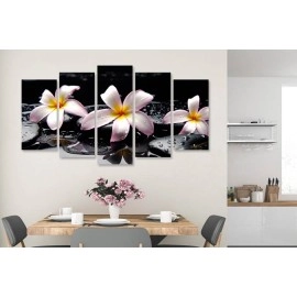 Tablouri canvas Tablouri Plumeria stropi 7540