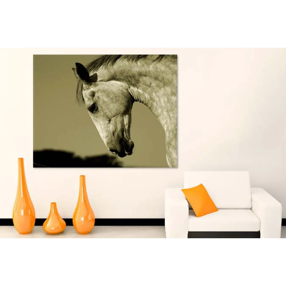 Tablouri canvas Cal cabrat 2029