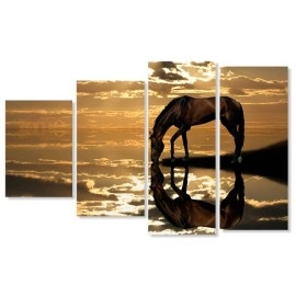 Tablouri canvas Cal la adapat 25164