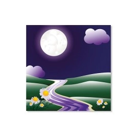 Tablouri canvas camera copii 8889