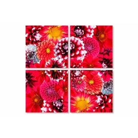 Tablouri canvas Dalia 5882