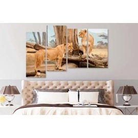 Tablouri canvas Africa 2140