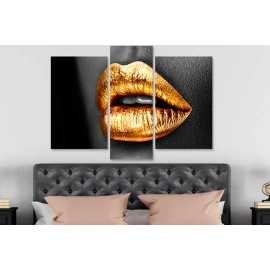 Tablouri moderne buze aurii