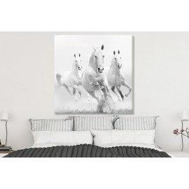 Tablouri canvas cai albi 48121