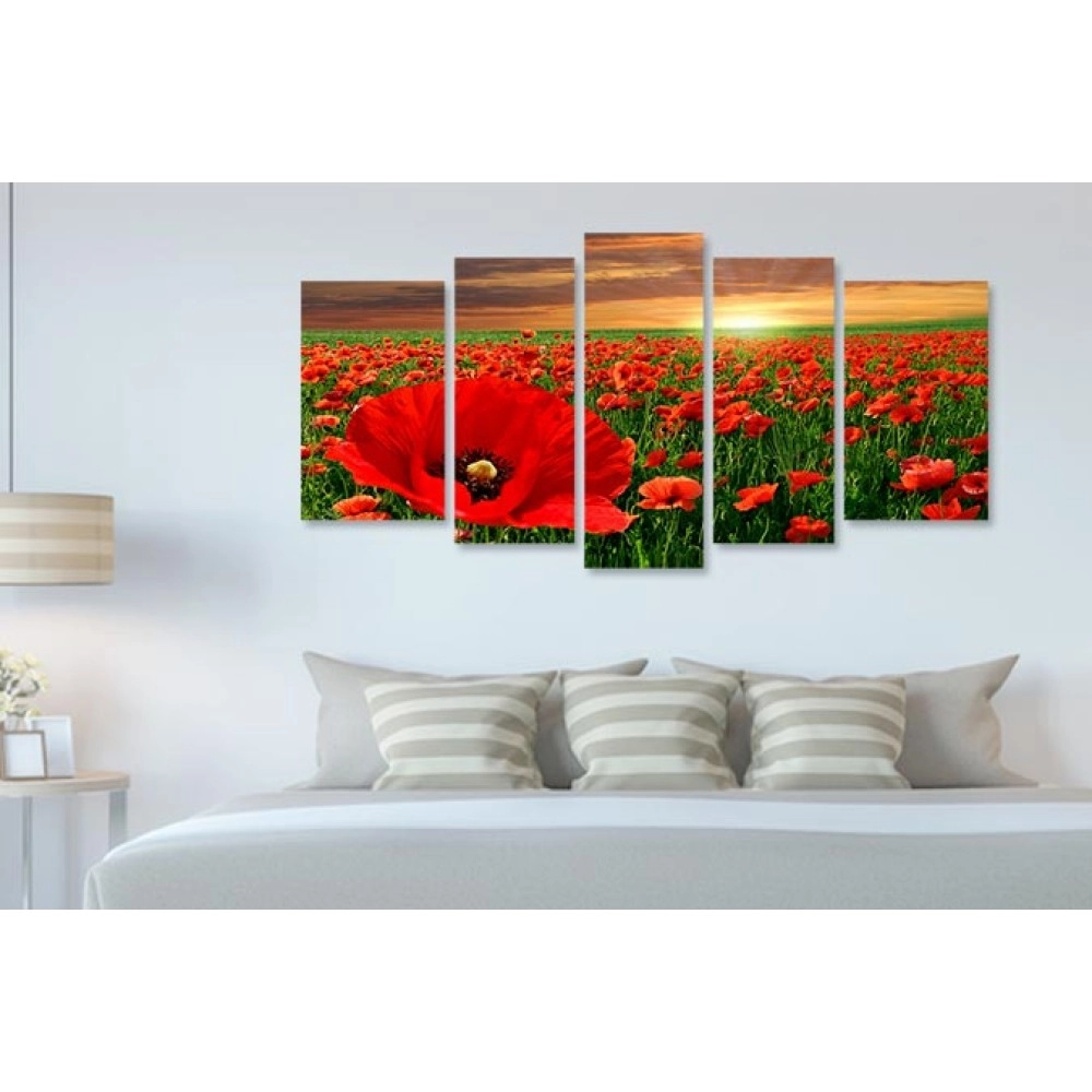 Tablouri canvas Camp cu maci 4187