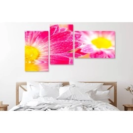 Tablouri canvas Flori gerbera roz 7848