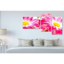 Tablouri canvas Gerbera roz-galben 7860