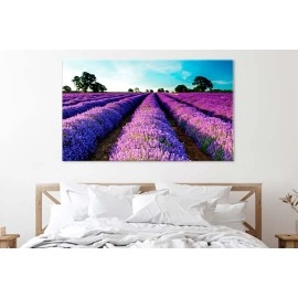 Tablouri canvas Lavanda 26991