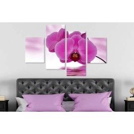 Tablouri canvas Orhidee 40415