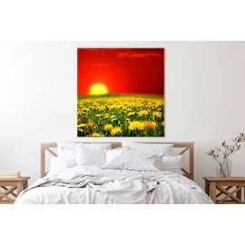 Tablouri canvas Papadie 55743