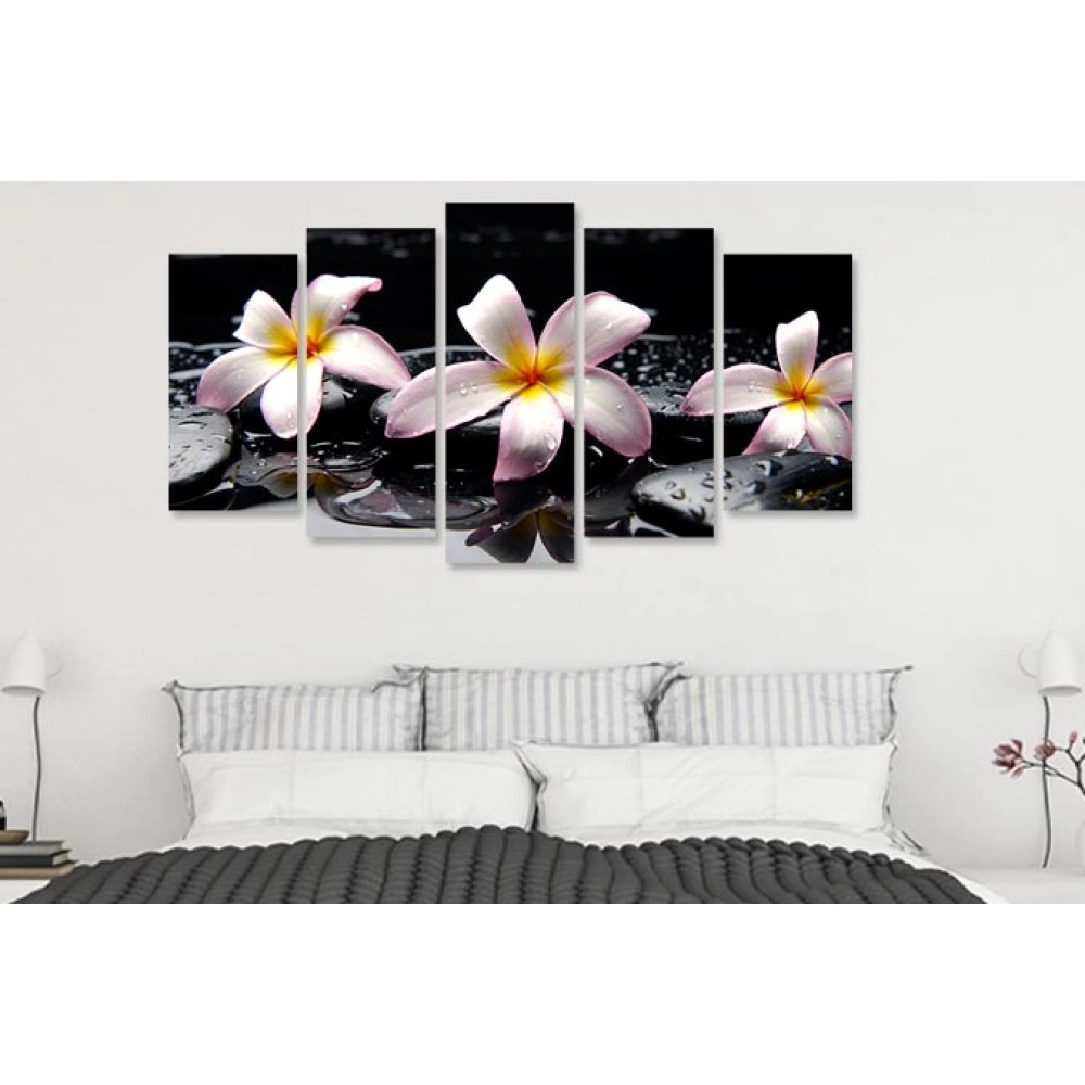 Tablouri canvas Tablouri Plumeria stropi 7540