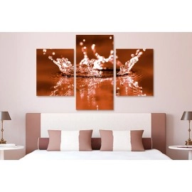 Tablouri canvas Strop de apa pe maro 4199