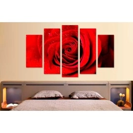 Tablouri canvas decorative trandafir 9703
