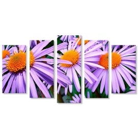 Tablouri canvas aster mov 5764