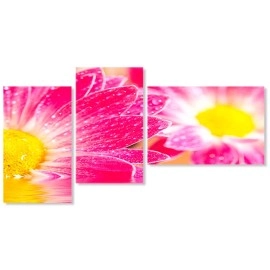 Tablouri canvas Flori gerbera roz 7848