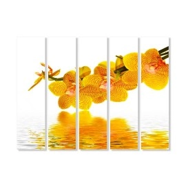 Tablouri canvas Orhidee 53401