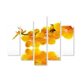 Tablouri canvas Orhidee 53501