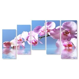 Tablouri canvas Orhidee fond blue 64087