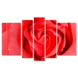 Tablouri canvas trandafir 8726