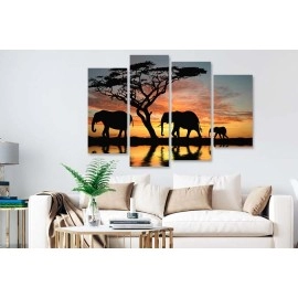 Tablouri canvas Africa 51741