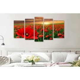 Tablouri canvas Camp cu maci 4187