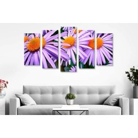 Tablouri canvas aster mov 5764