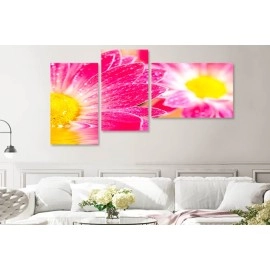 Tablouri canvas Flori gerbera roz 7848