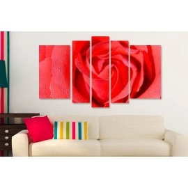 Tablouri canvas trandafir 8726
