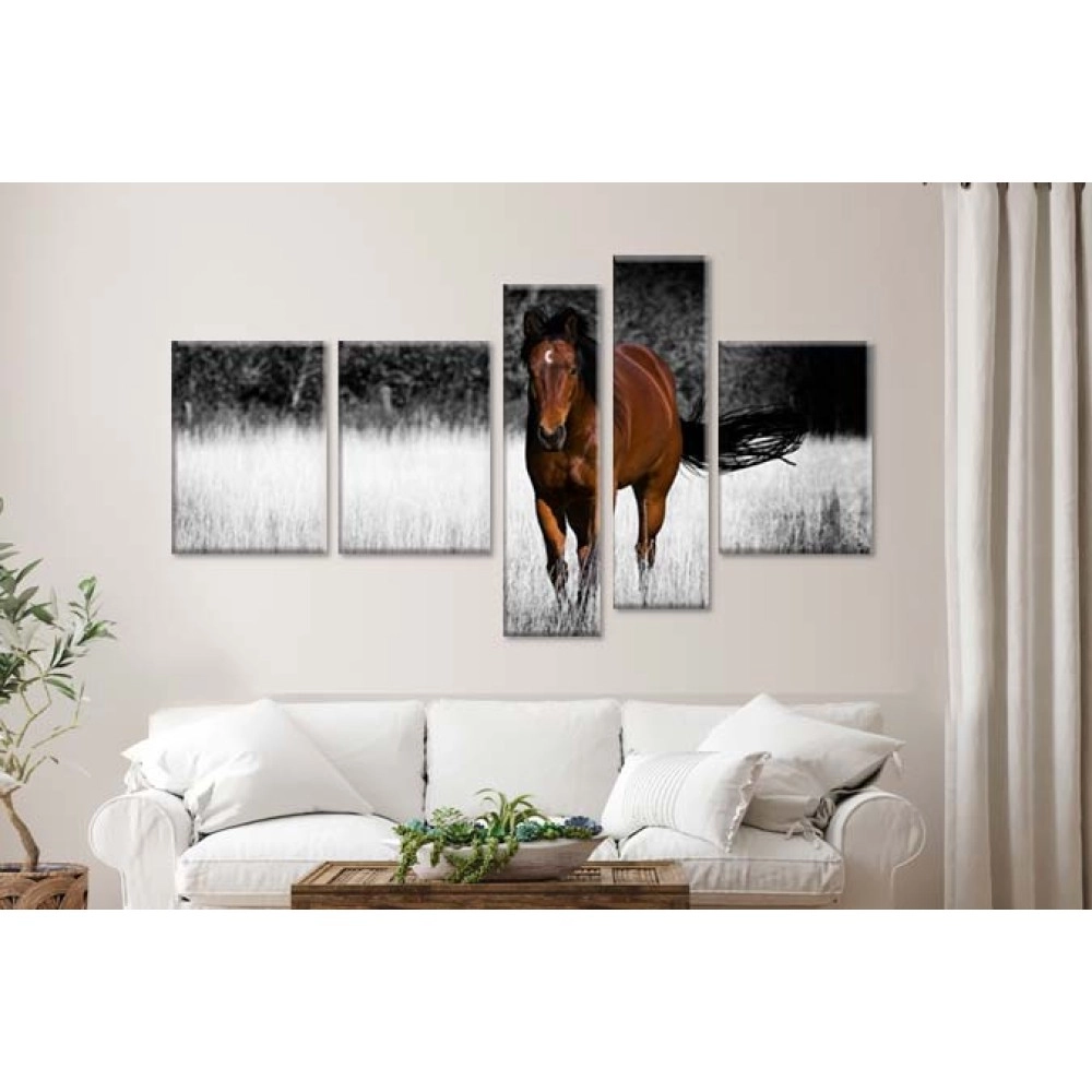 Tablouri canvas Cal murg BW 1492