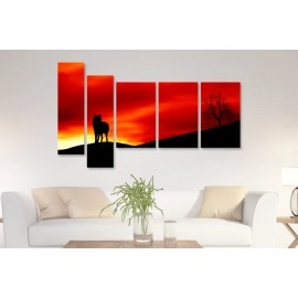 Tablouri canvas Orange 1067