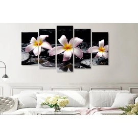 Tablouri canvas Tablouri Plumeria stropi 7540