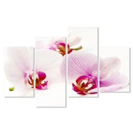 Tablouri canvas Orhidee 5691