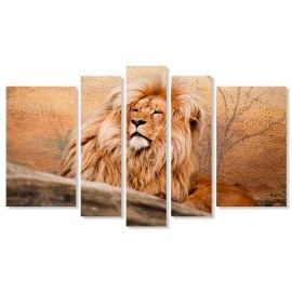 Tablouri canvas Lion 2174