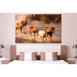 Tablouri canvas Cai salbatici 19745