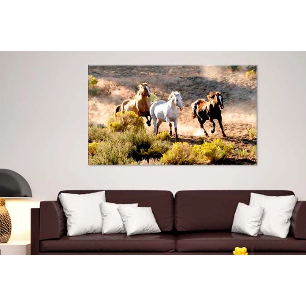 Tablouri canvas cai 34431