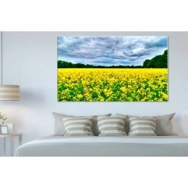 Tablouri canvas yellow 30438