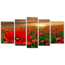 Tablouri canvas Camp cu maci 4187