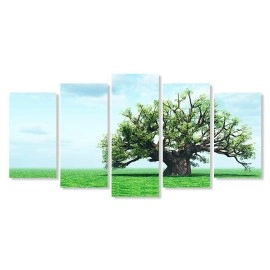 Tablouri canvas copac 5823