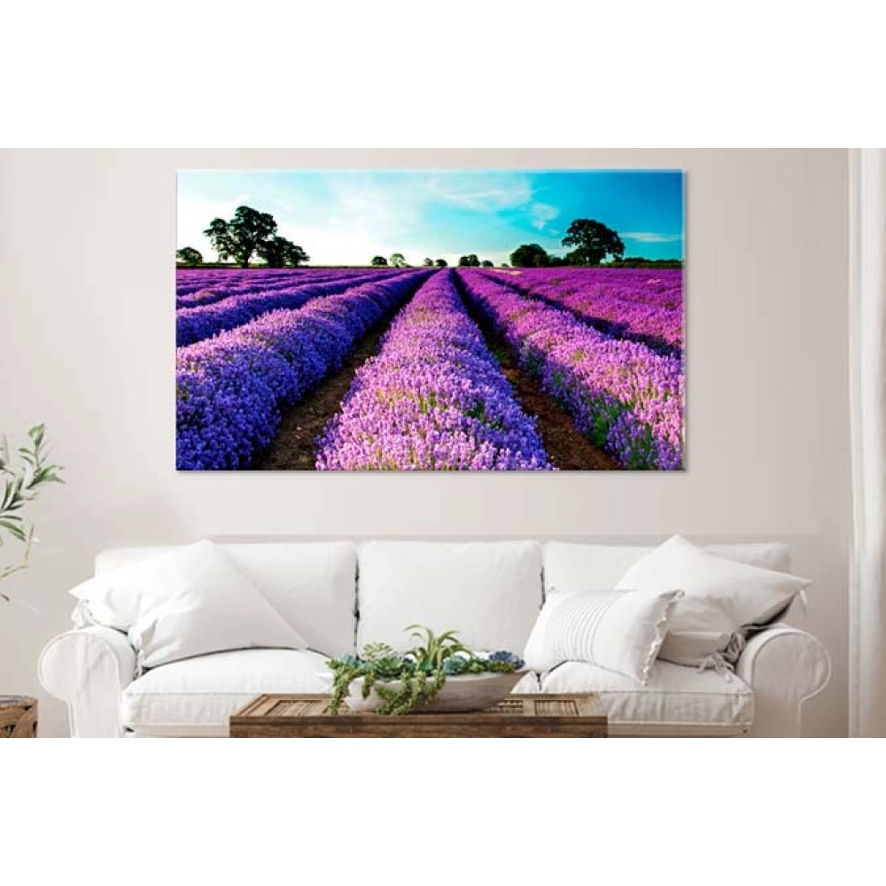Tablouri canvas Lavanda 26991