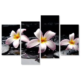 Tablouri living plumeria pe pietre 75250