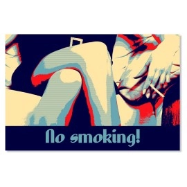 Tablouri canvas pop-art rosu 1489