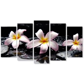 Tablouri canvas Tablouri Plumeria stropi 7540