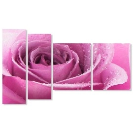 Tablouri canvas trandafir 4352