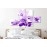 Tablouri canvas Crini mov 52200
