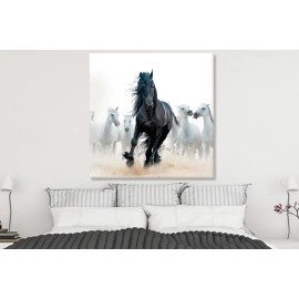 Tablouri living calul negru 65214