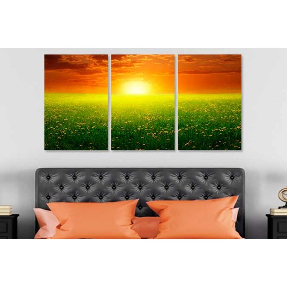 Tablouri canvas camp cu flori Tablouri canvas camp cu flori