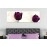 Tablouri canvas Tulips 22987