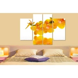 Tablouri canvas Orhidee 5301