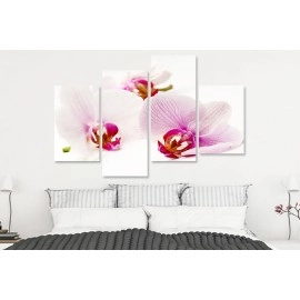 Tablouri canvas Orhidee 5691